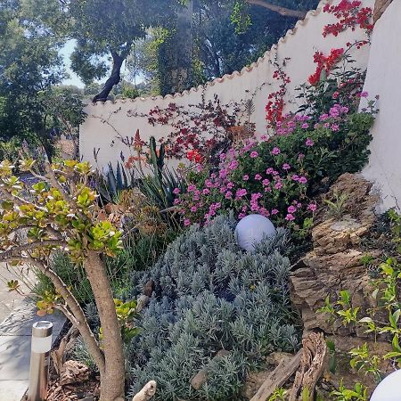 Villa Magnolia Santa-Maria-di-Lota المظهر الخارجي الصورة