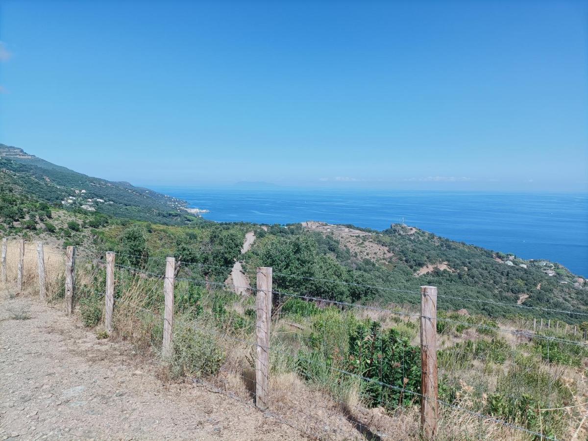 Villa Magnolia Santa-Maria-di-Lota المظهر الخارجي الصورة