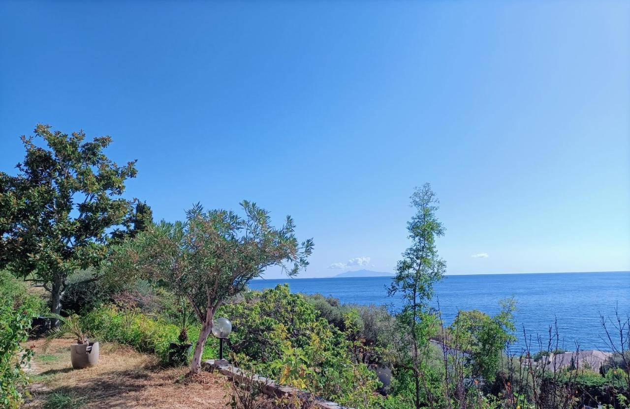 Villa Magnolia Santa-Maria-di-Lota المظهر الخارجي الصورة