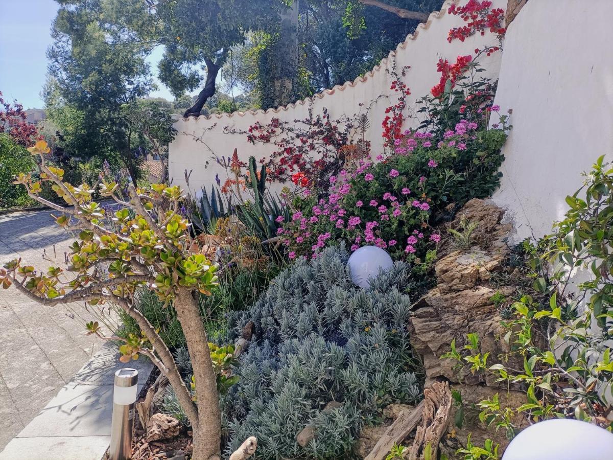 Villa Magnolia Santa-Maria-di-Lota المظهر الخارجي الصورة
