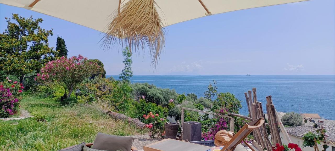 Villa Magnolia Santa-Maria-di-Lota المظهر الخارجي الصورة