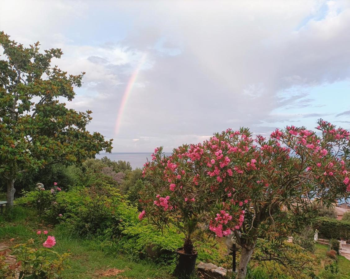 Villa Magnolia Santa-Maria-di-Lota المظهر الخارجي الصورة